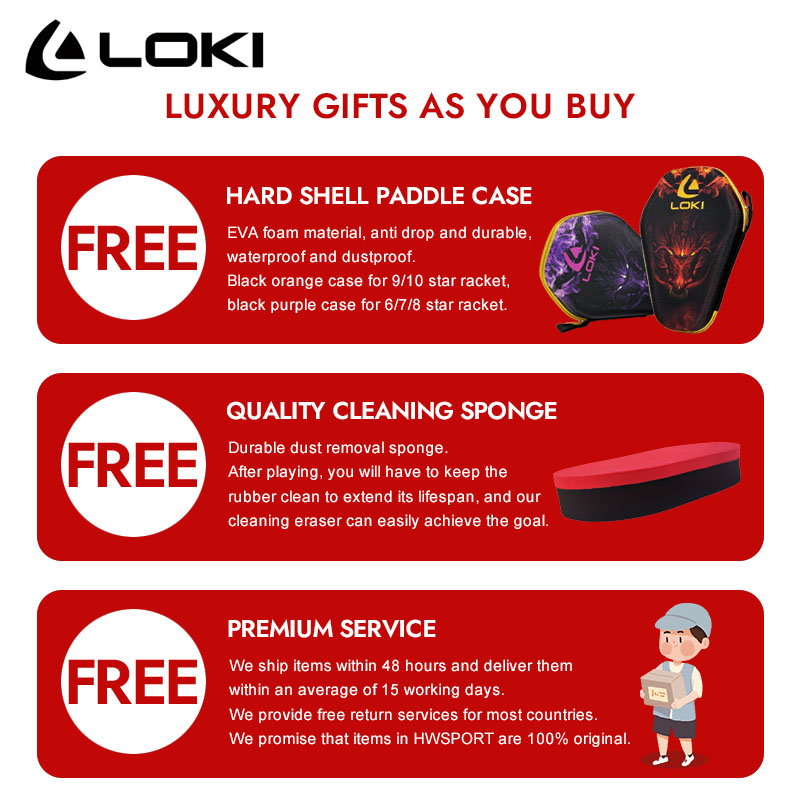 LOKI DRAGON 10 STAR Table Tenn - Badminton Racket Carbon recension och pris
